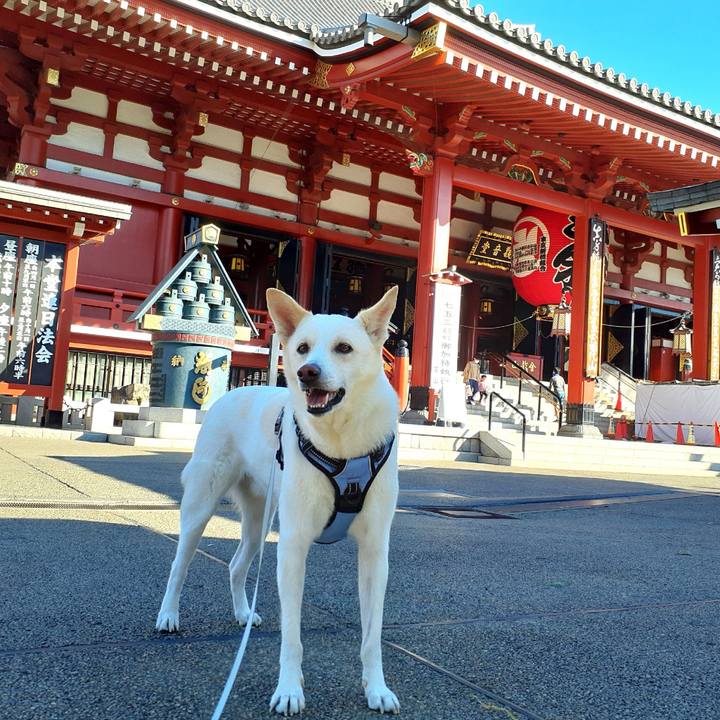 Ea30e26e bc00 4297 91b6 f1b733724b6a 1636781624430