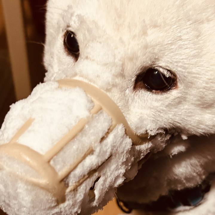 Ea30e53b 8482 4343 aeb0 4b69d1e77920 1736894533529