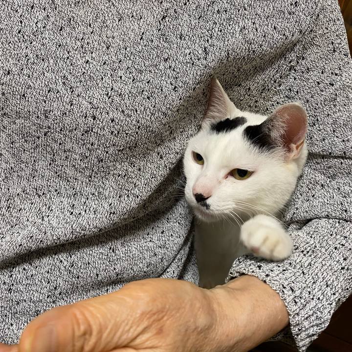 Ea30ece8 4842 4b55 937a e3da0900da52 1624433298623