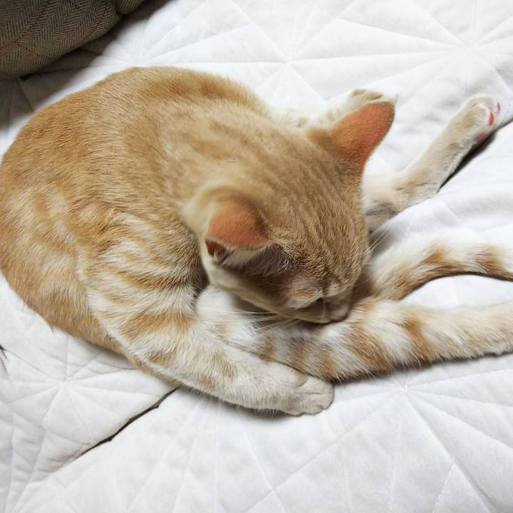 Ea30fcb1 37f9 4c98 b390 9271c1d5077f 1544261758882