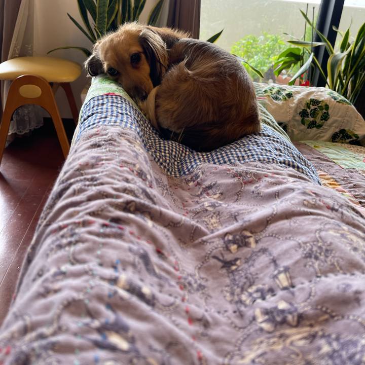 Ea311031 dbaf 40e2 990b 3bc96ef42574 1713623837842