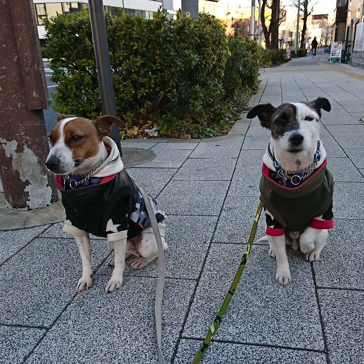 Ea31225b 0cc7 4bb0 94b2 e45cedcd4a02 1547851444854