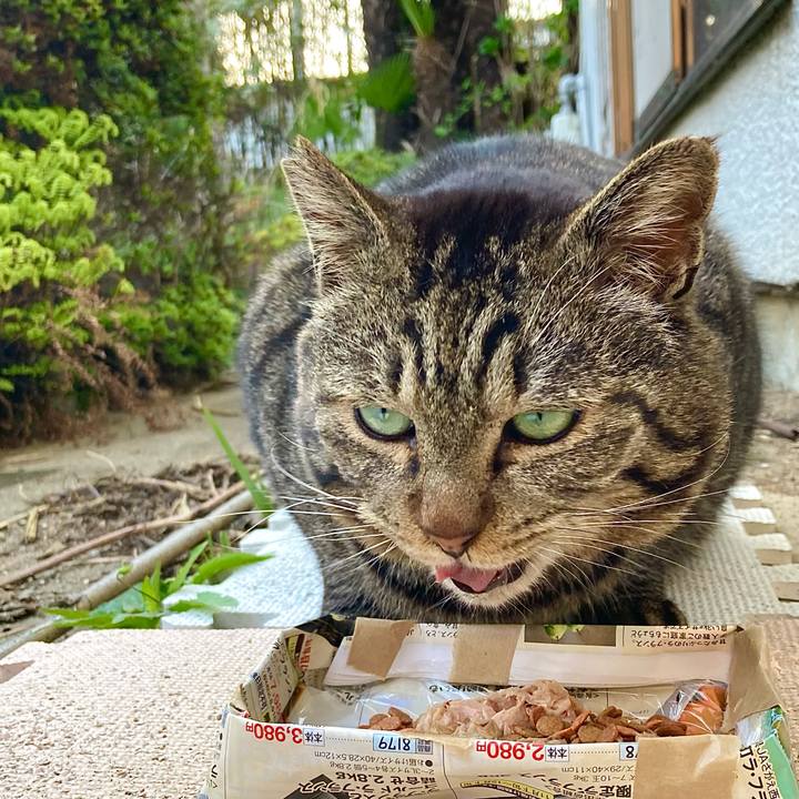 Ea315098 b90d 4aa8 a63c 41386f25709d 1650185379285