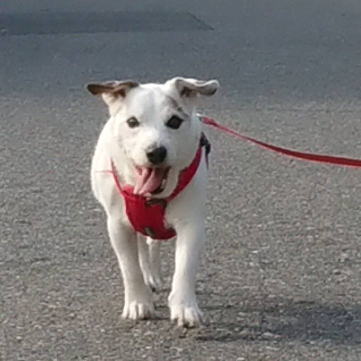 Ea3162bf a50b 42a0 b7d6 5a5266ddb298 1588553670817