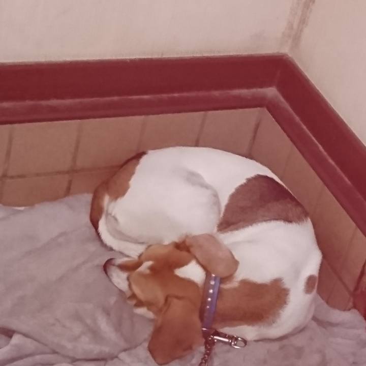 Ea316fde a647 44d4 84b0 a8002547a8ff 1574386039410