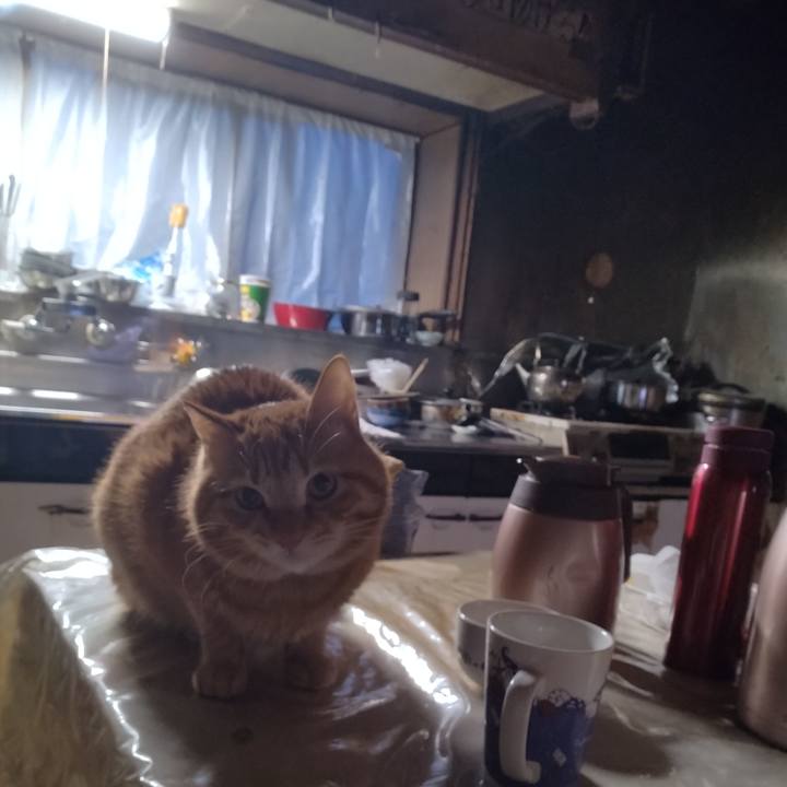 Ea318cf8 bd4c 442a 9173 7912f38e7928 1710713629860