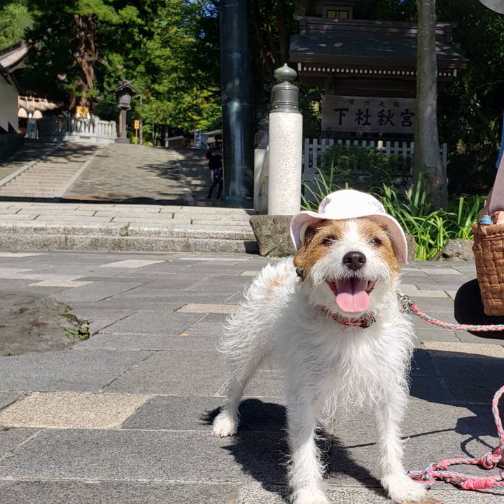 Ea31c54e 7db1 456d a27b ef5e5df80902 1630044320089