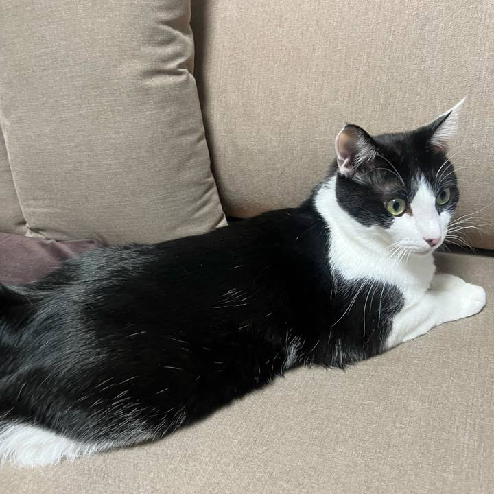 Ea31c85e c332 4f74 8b1c 8813ef160dd1 1693748345540