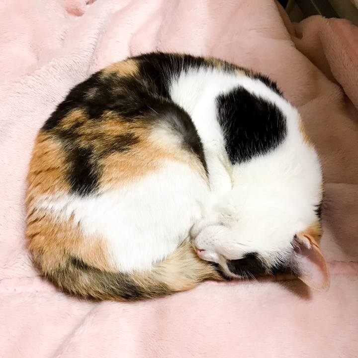 Ea31dca2 d3db 4cd1 9491 4ccf3a199fa4 1525961678297