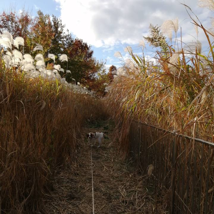 Ea31e946 90d9 44e0 bdc3 010c57955c10 1606122401707