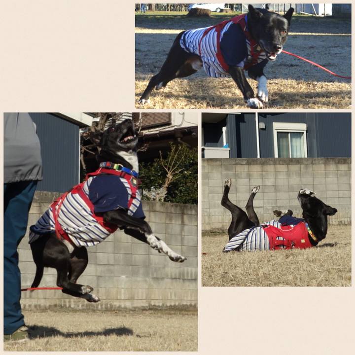 Ea321d88 fb5b 436a ae4c bcfff44268fb 1677548222448