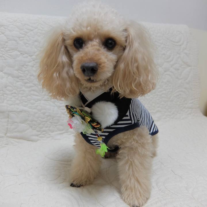 Ea322d94 dad2 441c 8d08 dc999da4d764 1641040987274