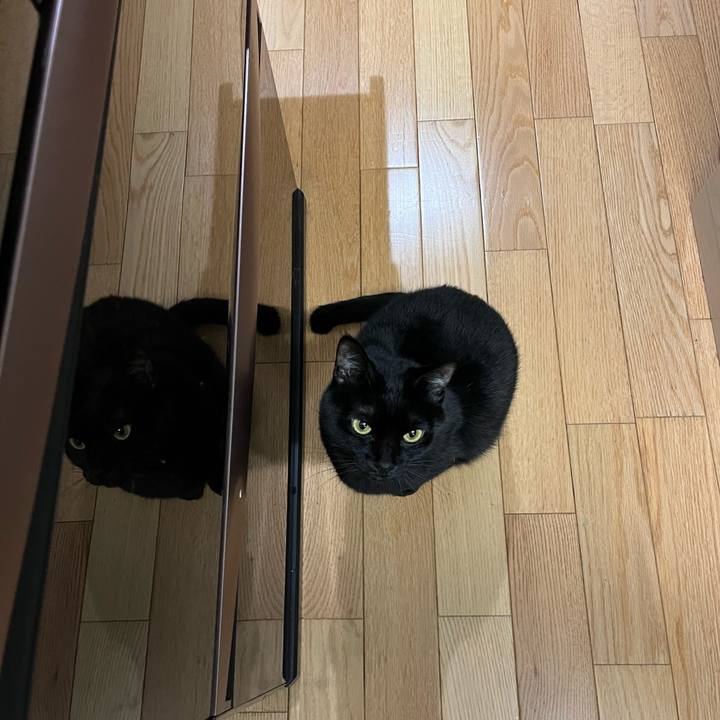 Ea323b13 3ccc 4645 814d 76eb81452ea4 1643587102612