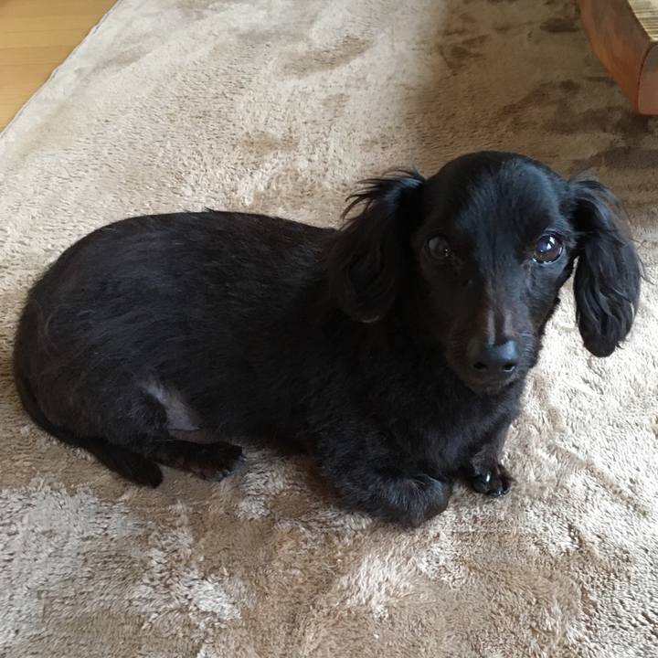 Ea324b10 9de7 4fd1 97b5 03cc29e7a514 1546904097598