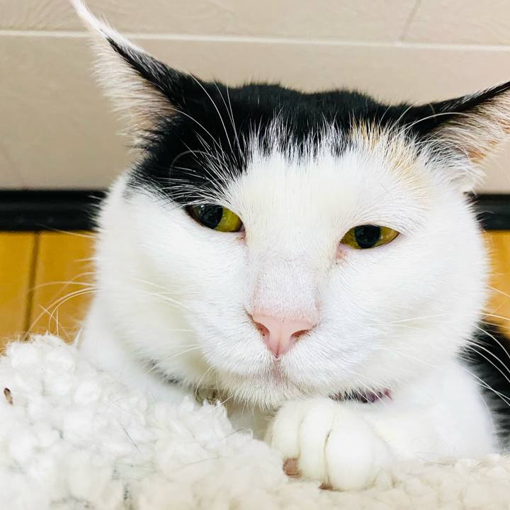 Ea327722 6922 4cde 9378 0a84312f92eb 1684189329317