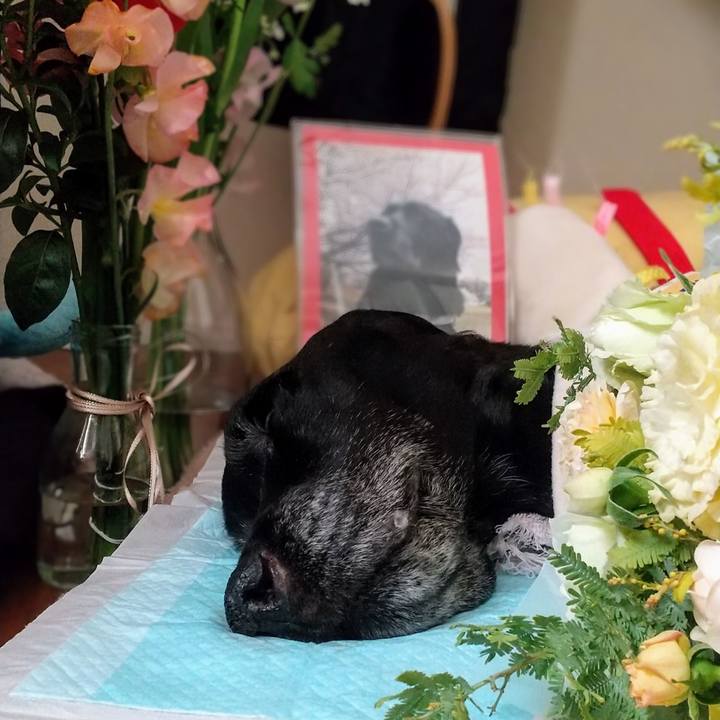 Ea32789a 7be0 49f6 80e6 4e51c498c57a 1737185460302