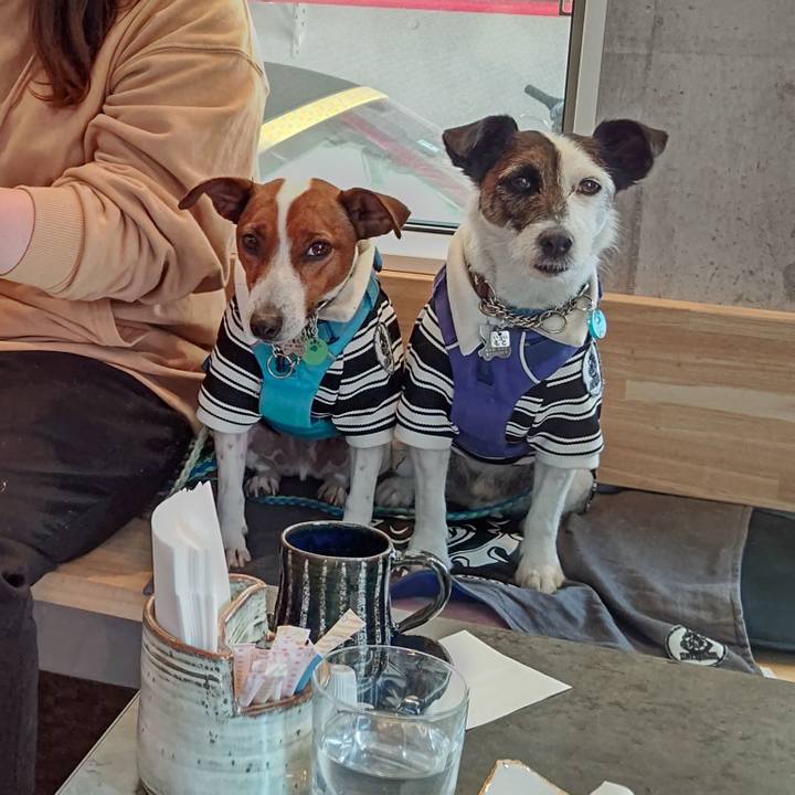 Ea32c7a7 dc57 4e1c 8047 f0007ab16163 1650198517455