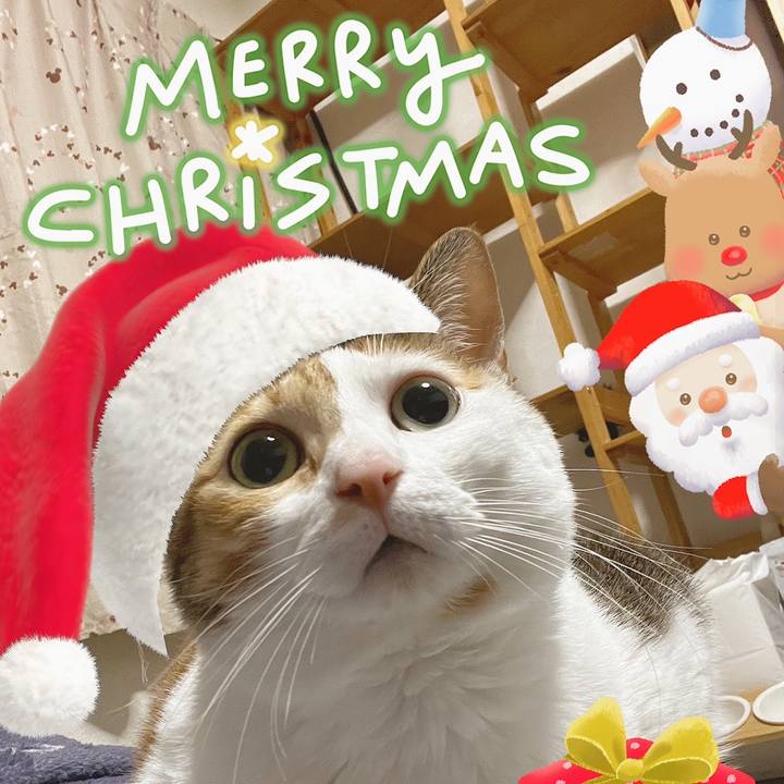 Ea330b56 33e1 44b1 8ff6 c3a79199de9a 1766591914881