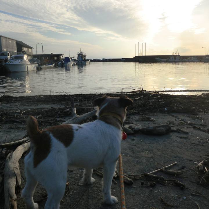 Ea3345c0 90b4 4d43 8f7c 743a5527429c 1521630163326