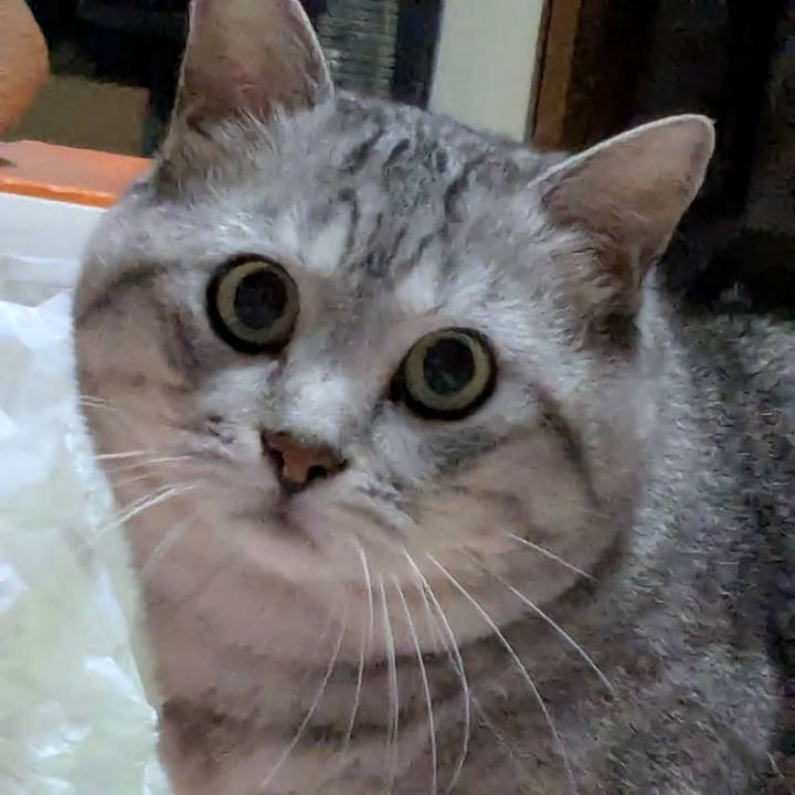 Ea3351c6 6bfa 42c4 a321 2172f2cc7739 1753796451579