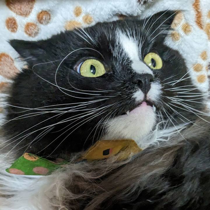 Ea337f31 b29c 47a0 b74a 1f592631a8cd 1699661995825