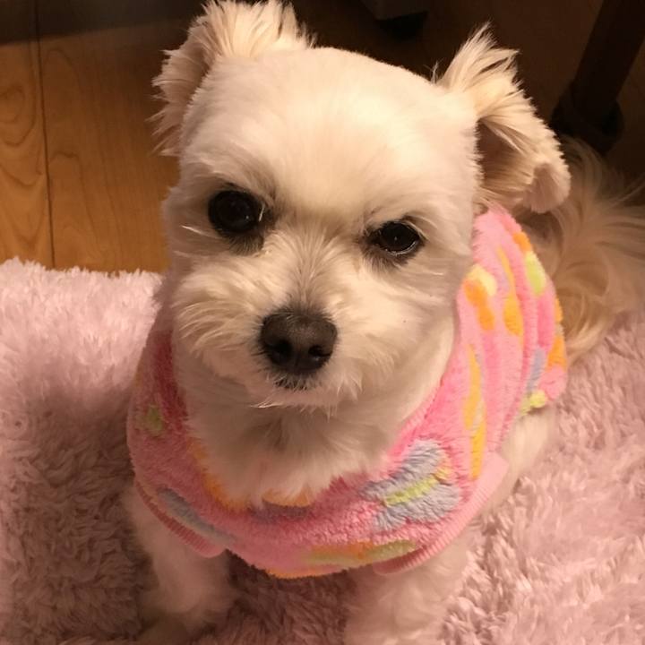 Ea33a340 9d04 4492 bf61 11bbb659a1db 1512900774986