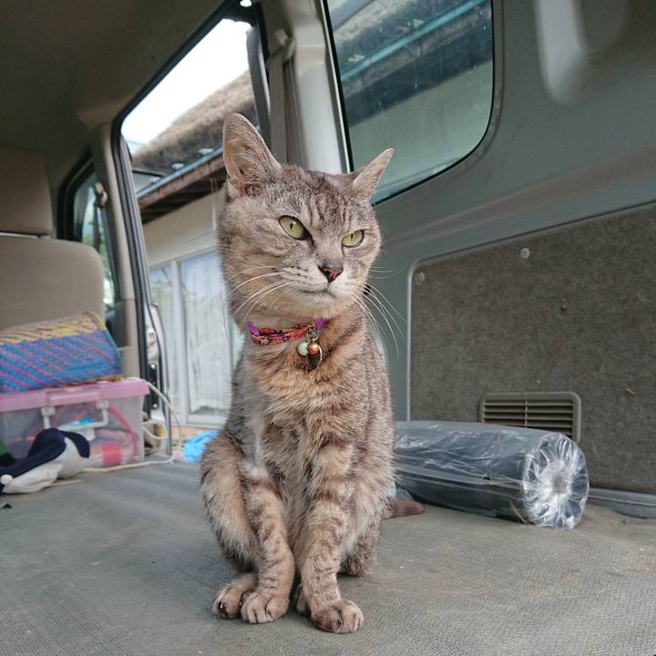 Ea33a94c 9671 44f2 ae05 fe86f888cc20 1591820922935