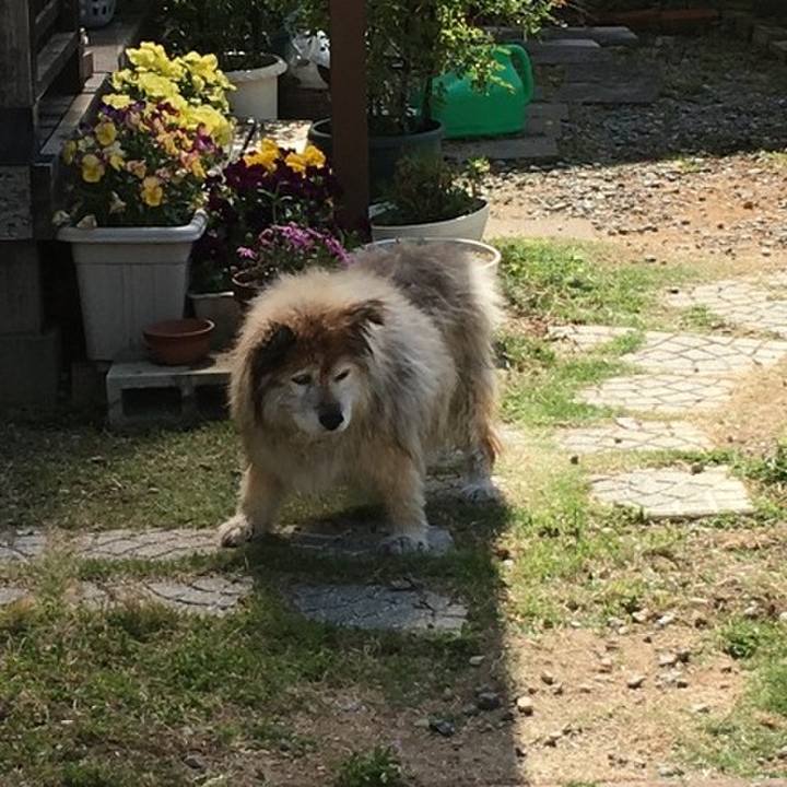 Ea33b462 a542 4518 b7bf 2df17c8cb492 1584315032076