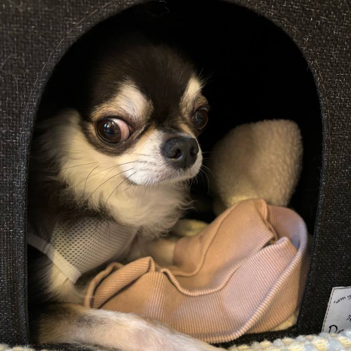 Ea33d6ad 5c40 4305 9bd7 71d4df0e87b9 1720367243003