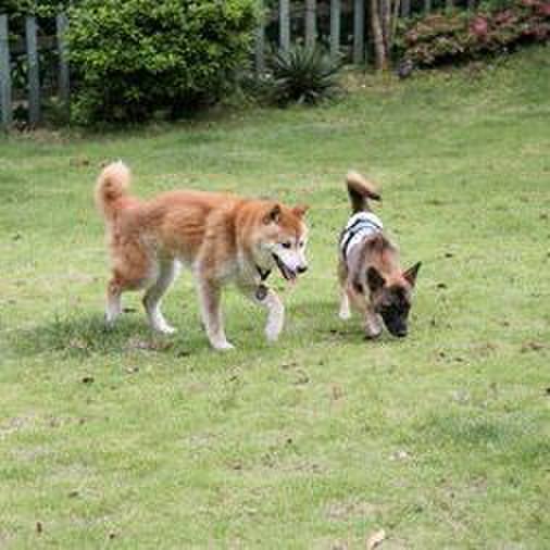 Ea3406c0 3d02 4453 a6d6 27d2ac9a88f0 1570369285200