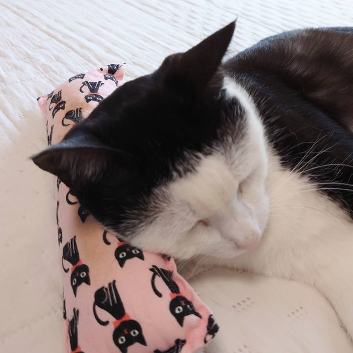 Ea343912 d717 4e5d 9878 b8a54bc0f0b9 1632363540986