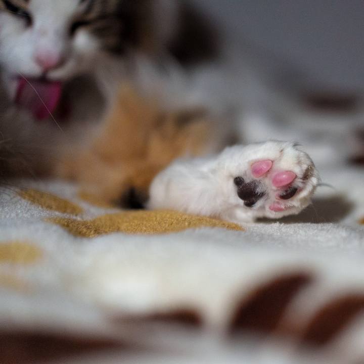 Ea343b14 45d4 4d8d 95a3 54c1fcaae3f7 1707487777271