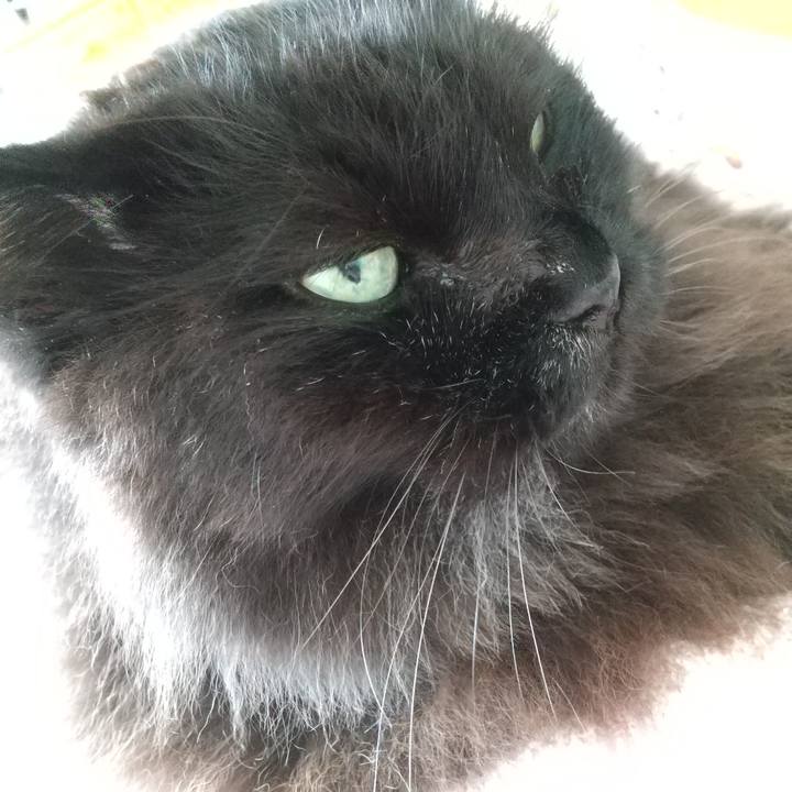 Ea3476b9 a6c4 48e4 bec3 c73d51ed80ff 1629516779117