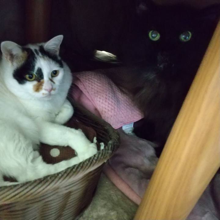 Ea34b69b 71d0 40c4 b9f3 e136b24a8684 1701948706455