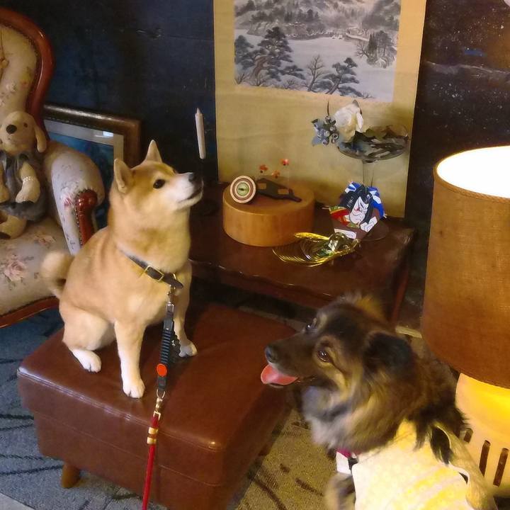 Ea34b901 46b9 49f7 b4f5 314f98f17bf5 1769237449742