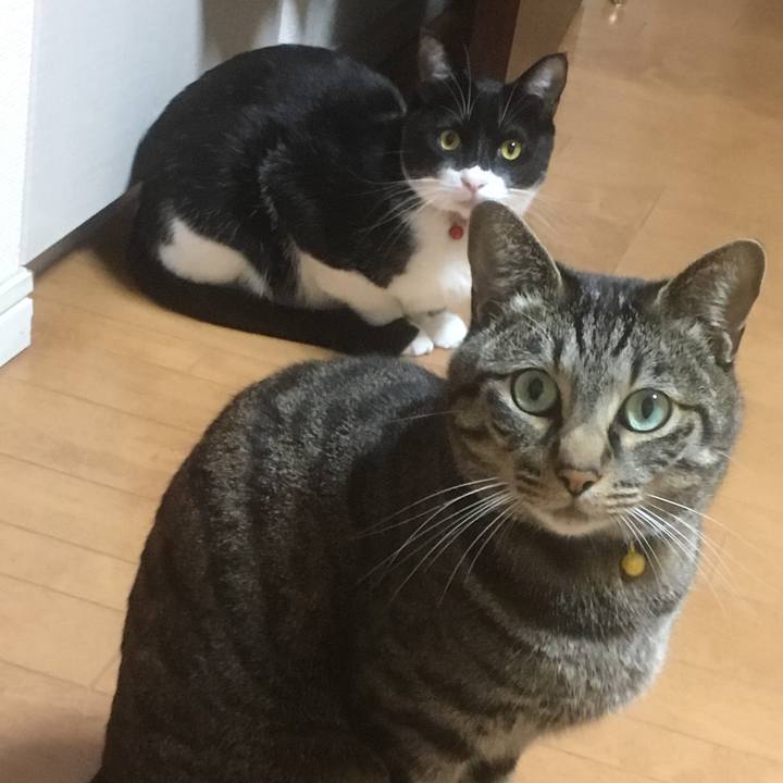 Ea350db1 d763 4b0d 8420 85d358361323 1554564648990