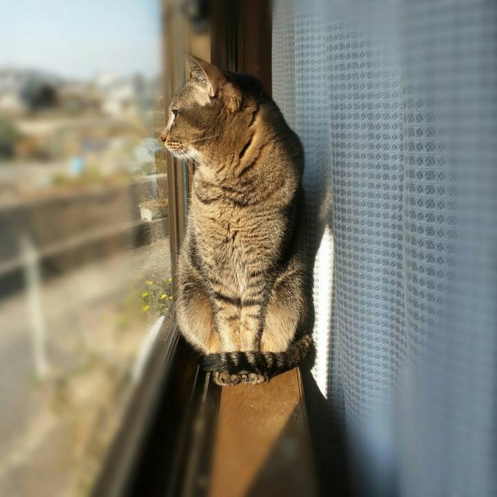 Ea3510e4 26de 4f71 ba48 7f0fceb18c58 1514427493010