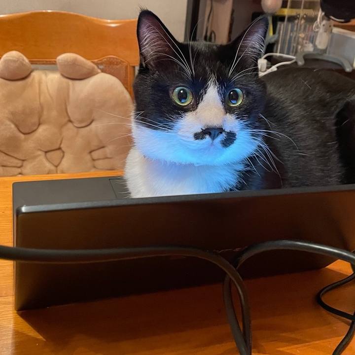 Ea353601 495f 435e 91ec e4d0718c61ca 1677637415985