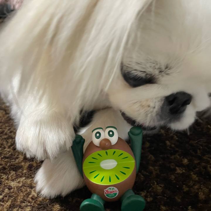 Ea3547f3 6ba8 4188 ab0e f07677fa64e7 1698416169027