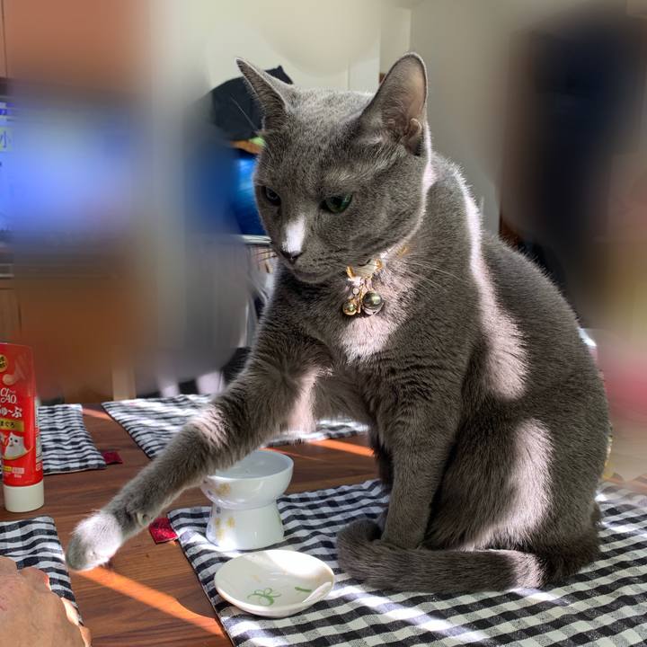 Ea355383 0ee4 4cb3 893b 72349fe90daf 1667779931186