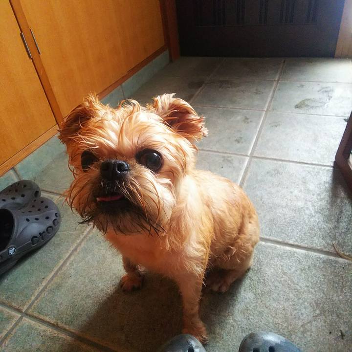 Ea35a60e 90b7 4c91 b5ec a47d2ea54aaf 1596073342477