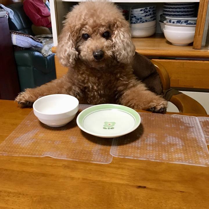 Ea35e4c6 1326 4eb9 9d97 1246d0da8a88 1541902229287