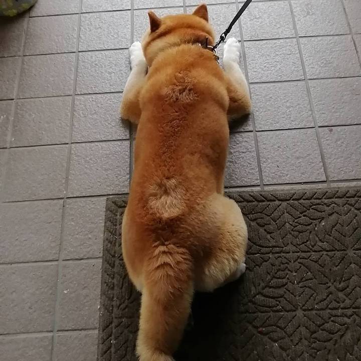 Ea3609f2 a486 4cc7 a2e9 436a7116ba7e 1590051344026