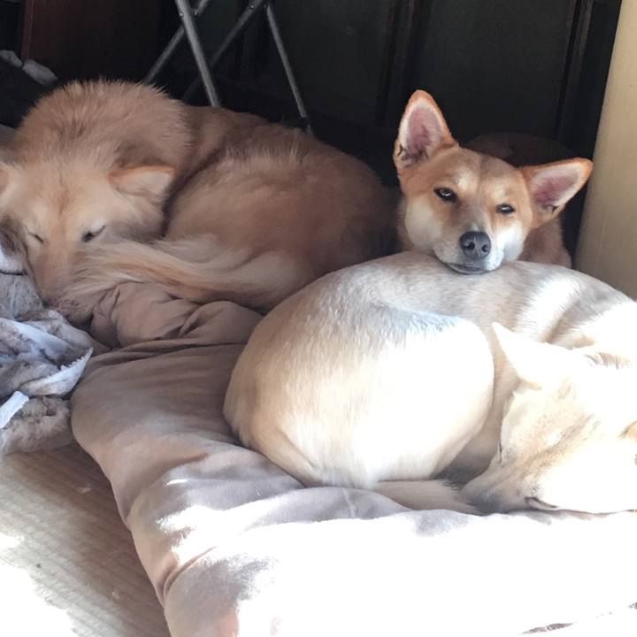 Ea362baf 0f2c 4b73 a3d4 c72ead32e91b 1546330041408