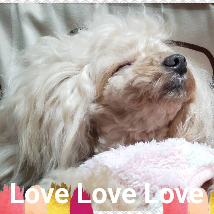 Ea3632eb 7008 471d 9aeb ee8ee5952884 1582897087409