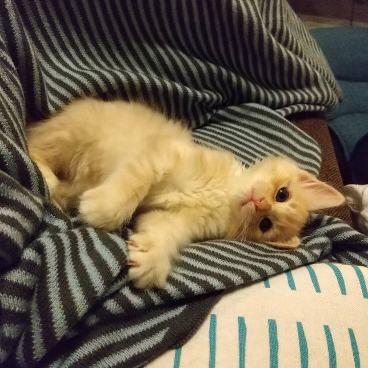 Ea363e8b 17ec 4b74 a4e8 33ffe5a96c79 1602763321675