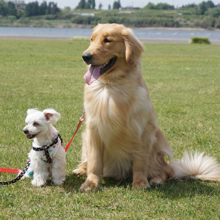 Ea363f8c a3e4 4b0f a3fd 3c8372127307 1530364915198