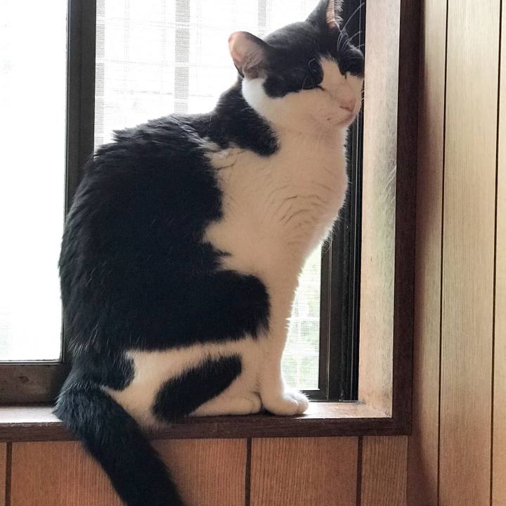 Ea36503c 5be6 4753 8f07 492b8e5dc6a9 1528941539994