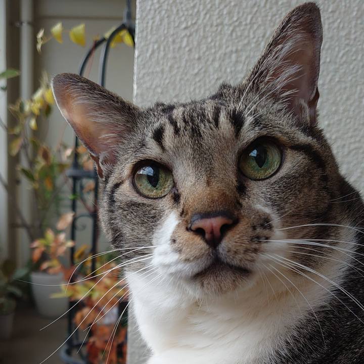 Ea36e589 405b 4b8f aaae 0eb60ab58af5 1670111804573