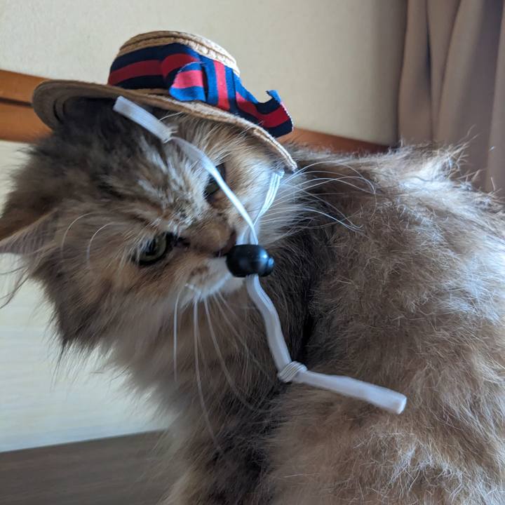 Ea36f034 380b 491b 8b07 d78ff30a0291 1688134009299